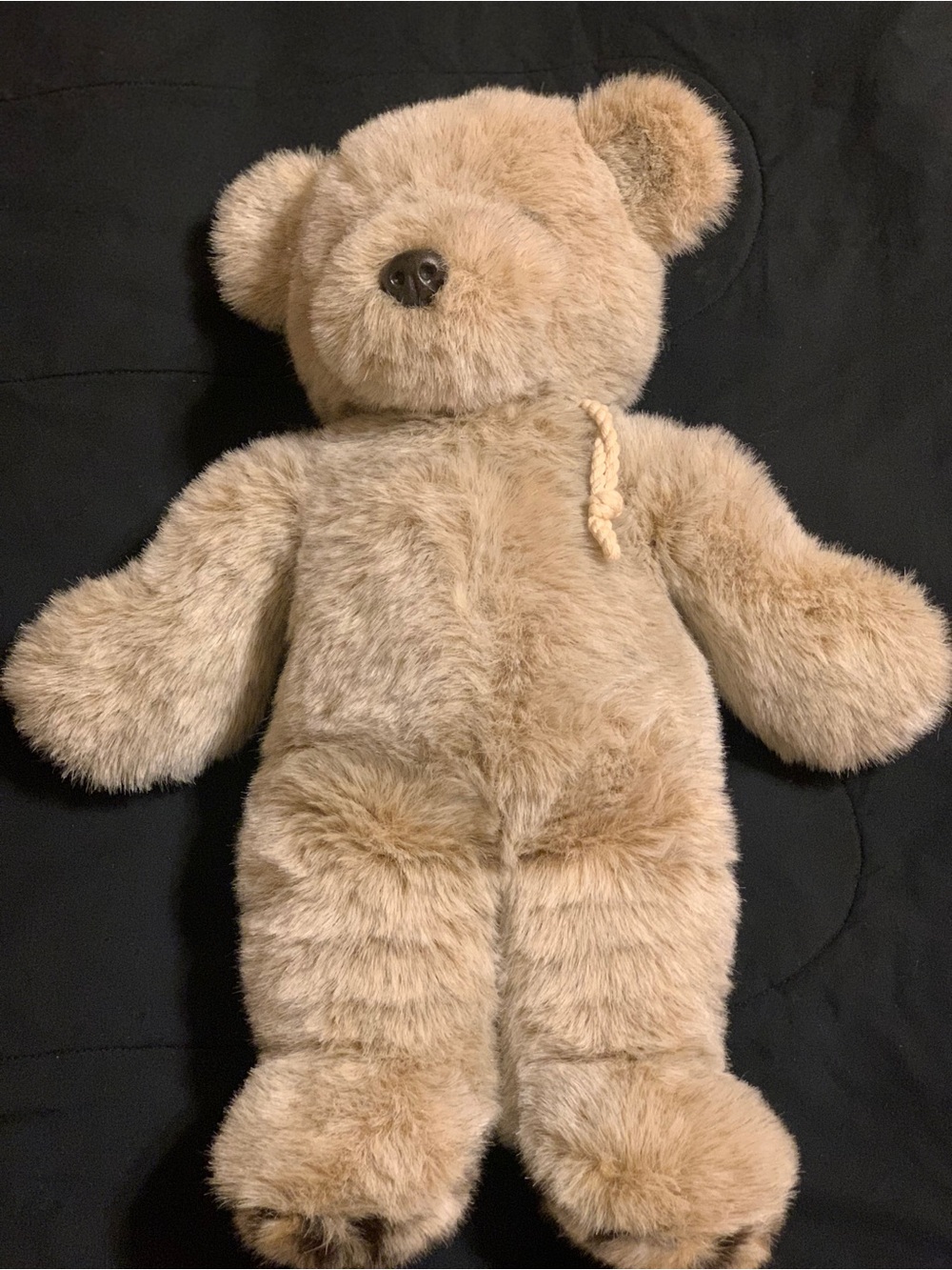 Gund Collector's Collection Limited Edition Plush Schatzi Bear 27”